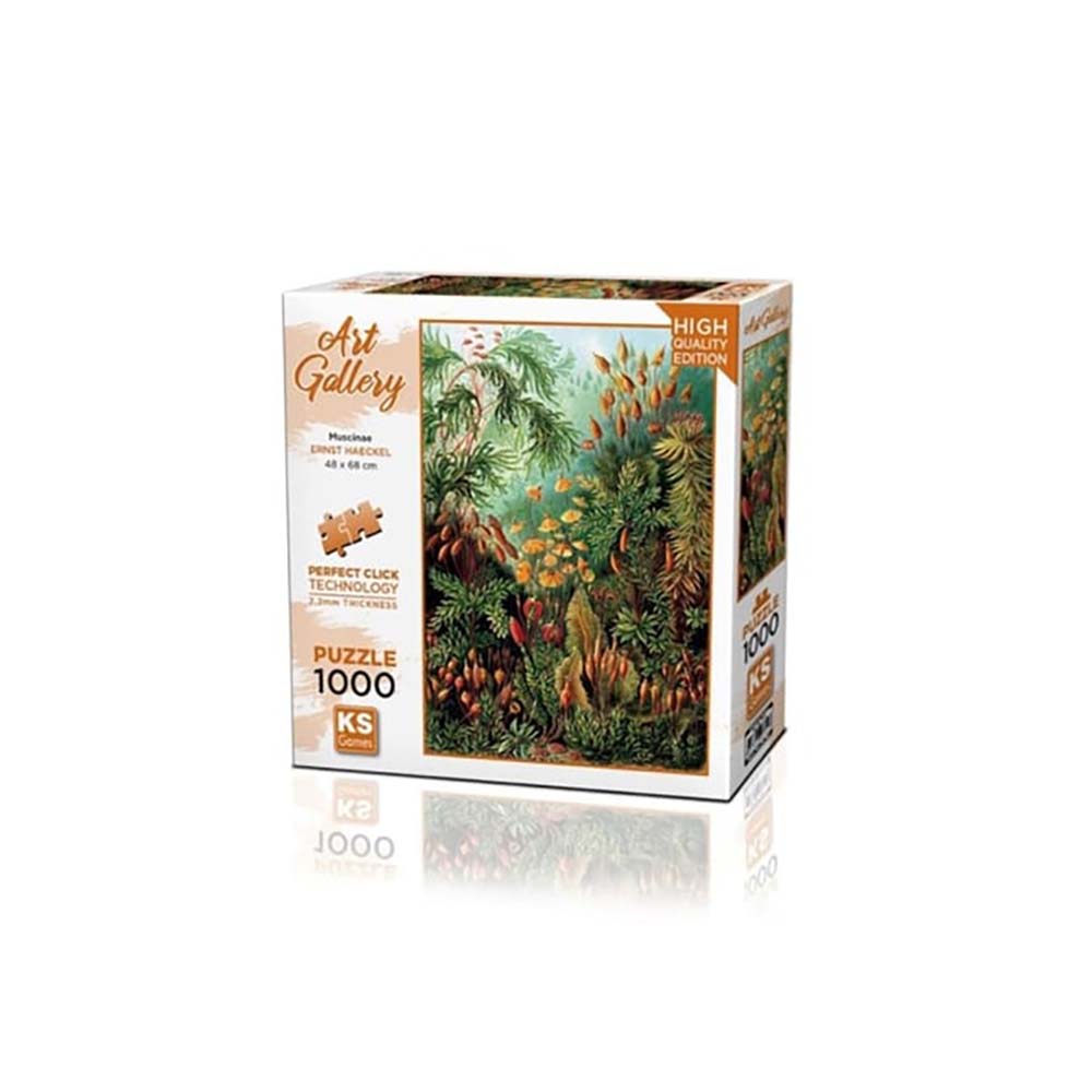 ONUR 20702 PUZZLE 1000 MUSCIANE